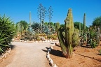 211 - botanicactus near ses salines (1837 Besuche) 211 - botanicactus near ses salines
