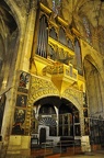 62 - palma (2454 visits) 62 - palma