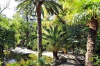 068 - Jardines de Alfabia