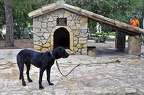 003 - Els Calderers near Sant Joan near Vilafranca