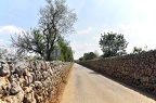 108 - near Sant Joan to Castillo Bellver in Palma (1917 visingar) 108 - near Sant Joan to Castillo Bellver in Palma