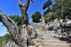 021 - Castell d Alaro