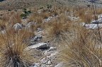 016 - Puig den Porrassar - 491 m