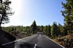 009 - from puerto de la cruz to teleferico del teide (2398 Besuche) 009 - from puerto de la cruz to teleferico del teide