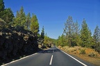 007 - from puerto de la cruz to teleferico del teide