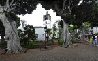 004 - icod de los vinos - parque del drago
