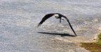 034-parque las aguilas - airshow