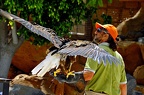 035-parque las aguilas - airshow