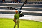 061-parque las aguilas - airshow