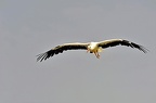 089-parque las aguilas - airshow