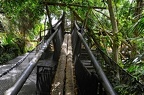 150-parque las aguilas - jungle raid (1919 Besuche) 150-parque las aguilas - jungle raid