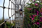 160-parque las aguilas - jungle raid (1782 Besuche) 160-parque las aguilas - jungle raid