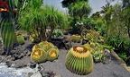 184-parque las aguilas - plants