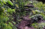 018 - Anaga mountain range