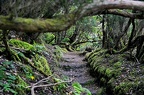 021 - Anaga mountain range