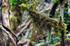 035 - Anaga mountain range