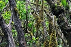 041 - Anaga mountain range
