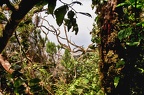 058 - Anaga mountain range