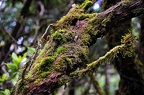 073 - Anaga mountain range