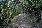 080 - Anaga mountain range