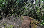 085 - Anaga mountain range