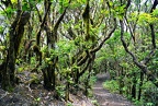 090 - Anaga mountain range