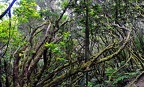 096 - Anaga mountain range