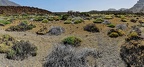 011 - Roques de Garcia