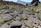 015 - Roques de Garcia