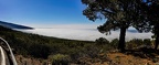 47 - from vilaflor to puerto de la cruz