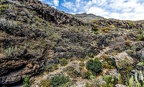 13 - Roque del Conde