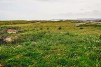 027 - Cap Gris Nez (2164 Besuche) 027 - Cap Gris Nez