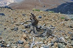 best of landscape 0008